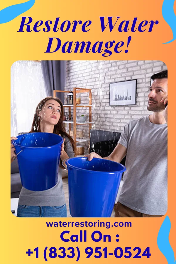 water restoration Rapid Flood Damage Professionals Conesus Lake