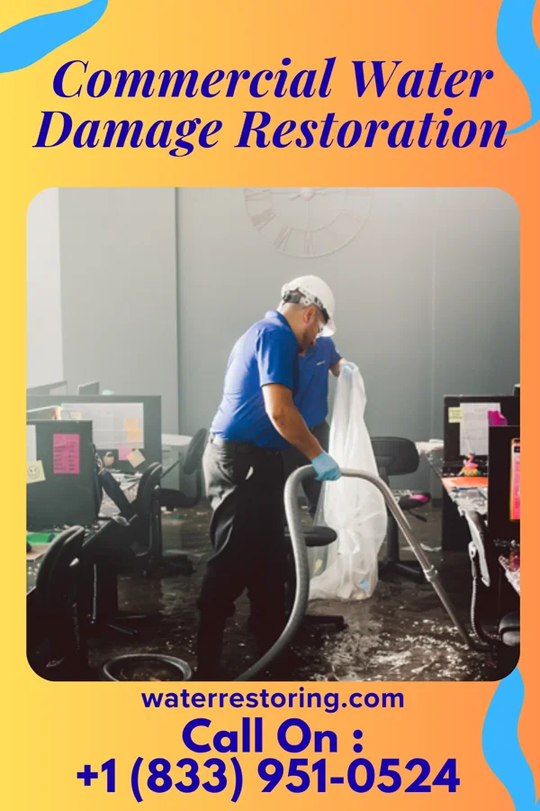 Commercial Water Damage Restoration in Conesus Lake, NY