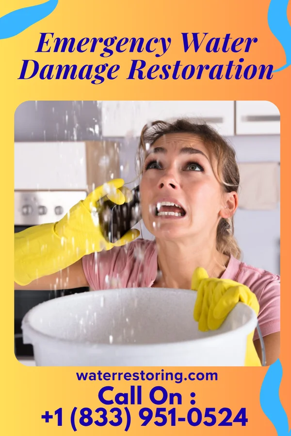Emergency Water Damage Restoration in Conesus Lake, NY