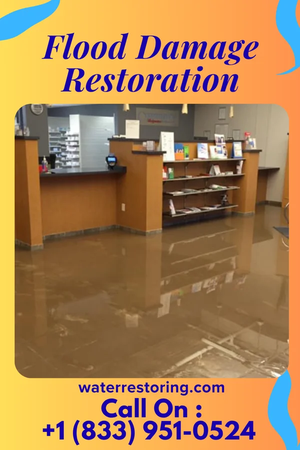Flood Damage Restoration in Conesus Lake, NY