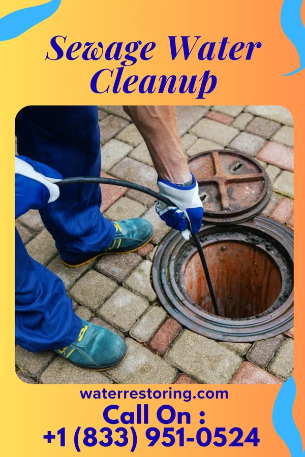 Sewage Water Cleanup in Conesus Lake, NY